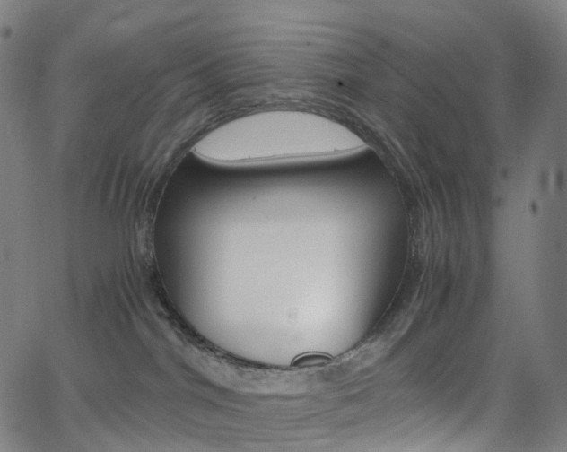 X0000063500044200601201037