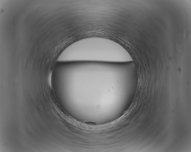 X0000063500047200601201037