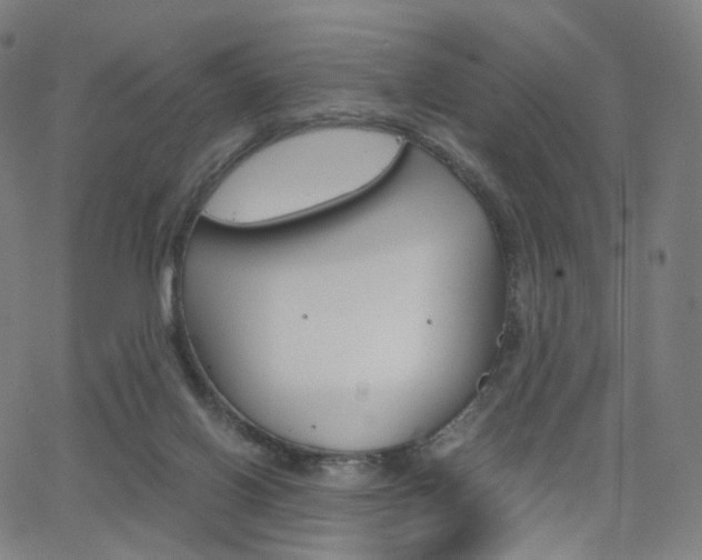 X0000063500070200601201037