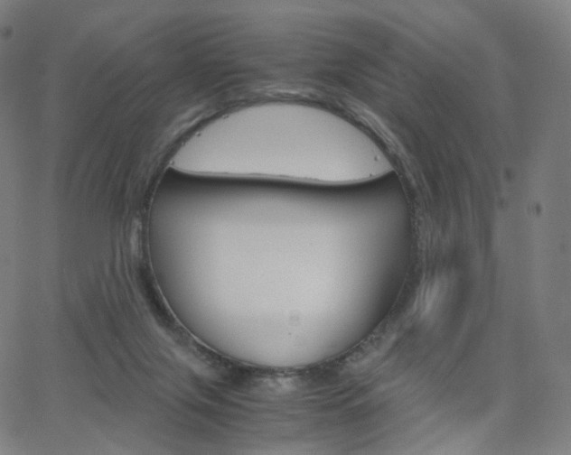 X0000063500071200601201037