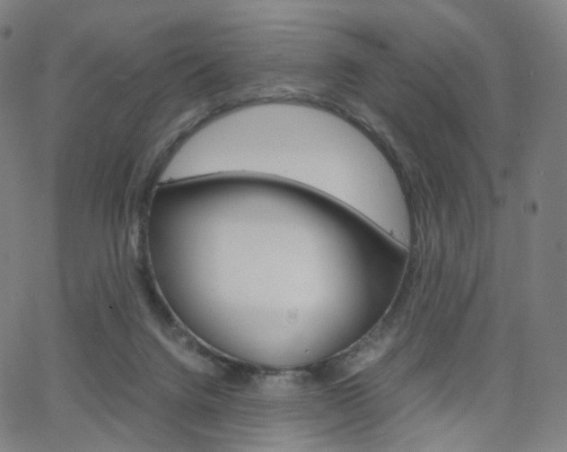 X0000063500072200601201037