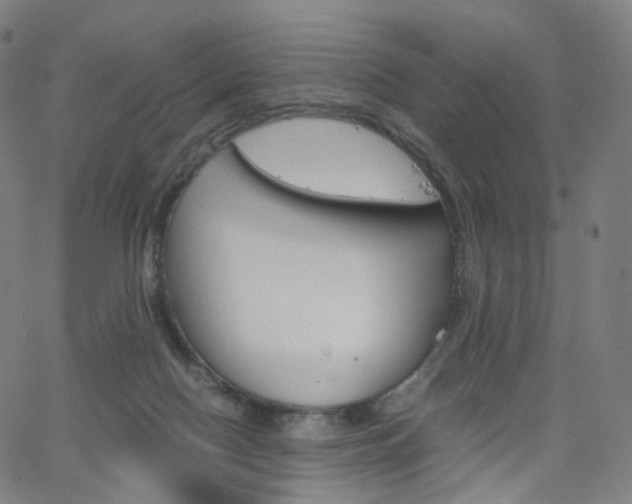 X0000063500074200601201037