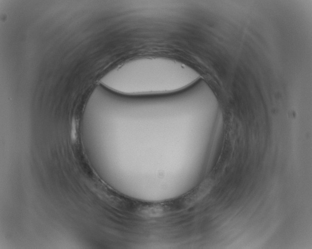 X0000063500075200601201037