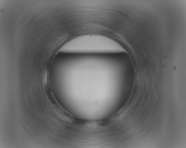 X0000063500076200601201037