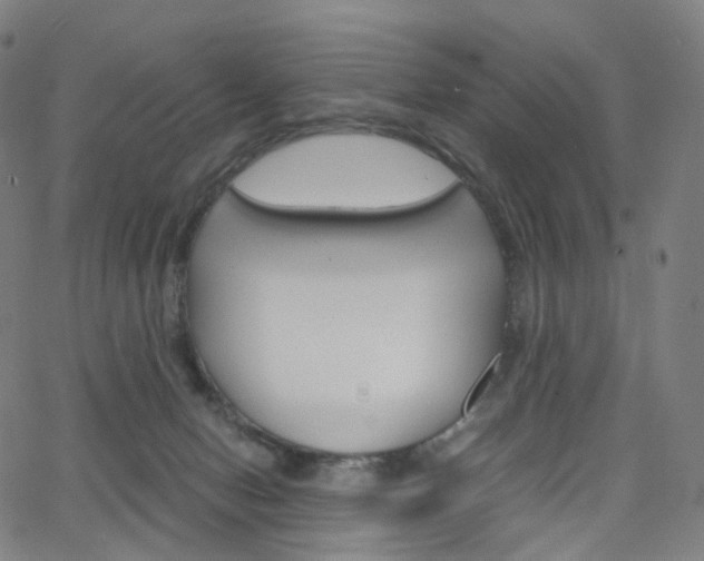 X0000063500078200601201037