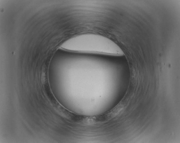 X0000063500080200601201037