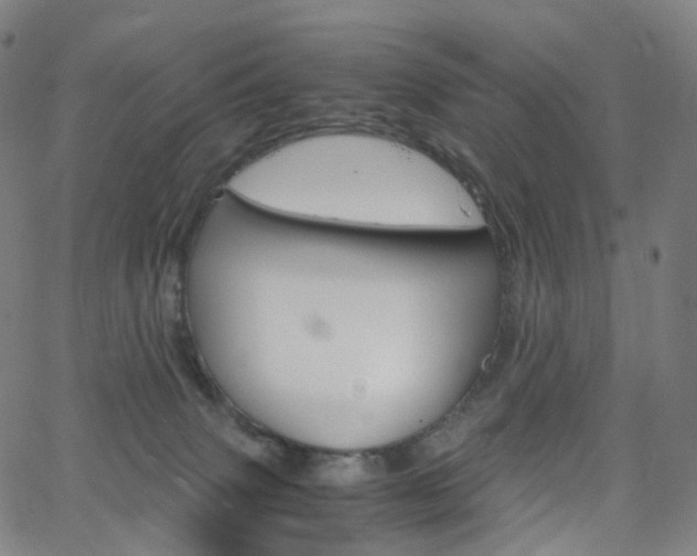 X0000063500083200601201037