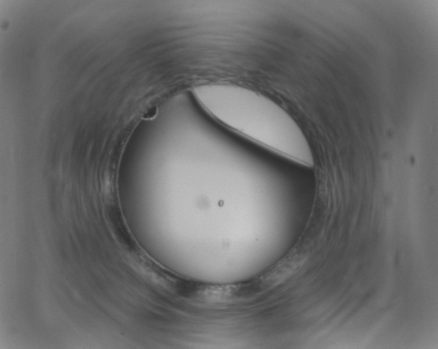 X0000063500084200601201037