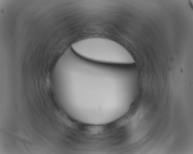 X0000063500085200601201037