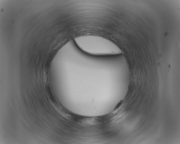 X0000063500086200601201037