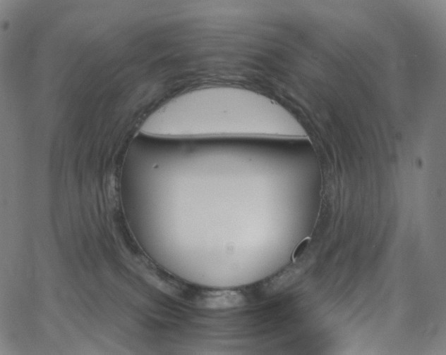 X0000063500087200601201037