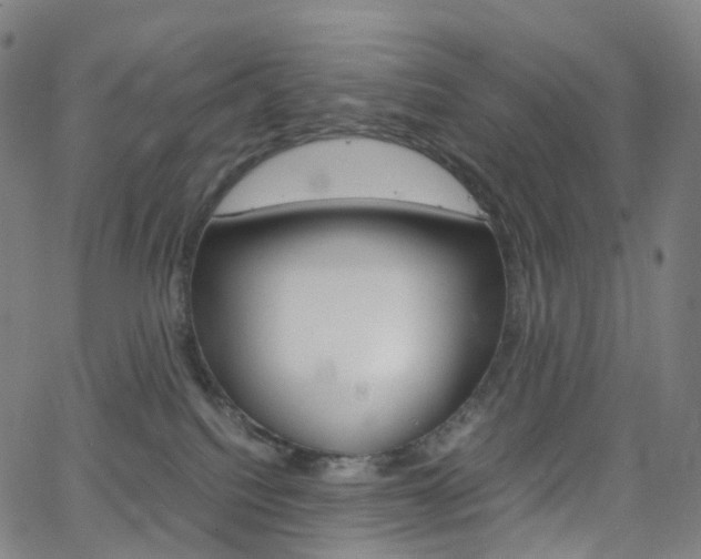 X0000063500088200601201037