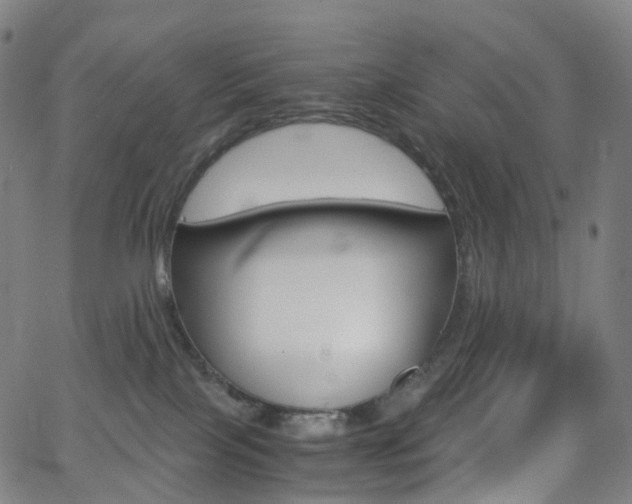 X0000063500089200601201037
