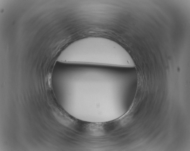 X0000063500094200601201037