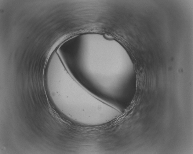 X0000063500100200601201036