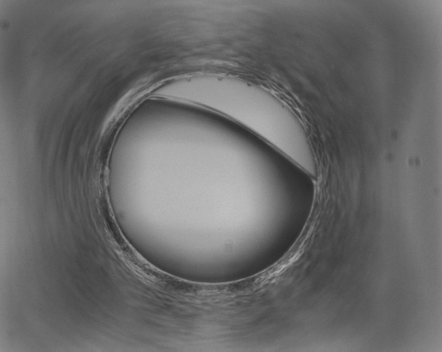 X0000063500101200601201036