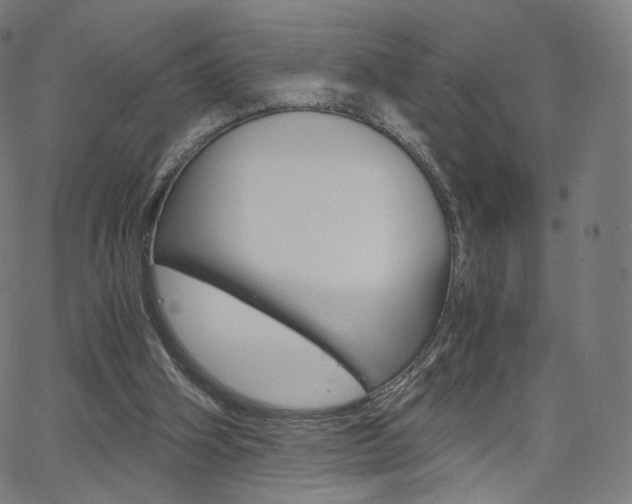X0000063500106200601201036