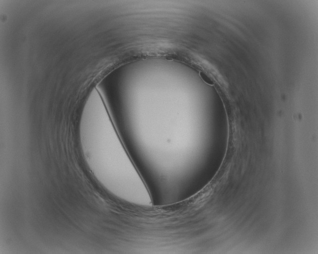 X0000063500113200601201036