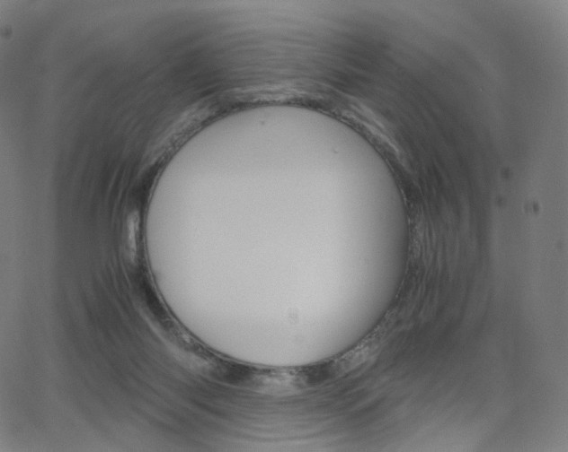 X0000063500118200601201036