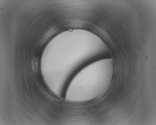 X0000063500120200601201036