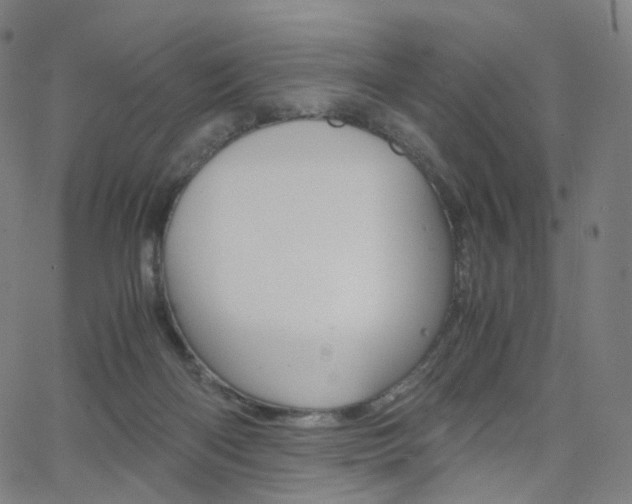 X0000063500122200601201036