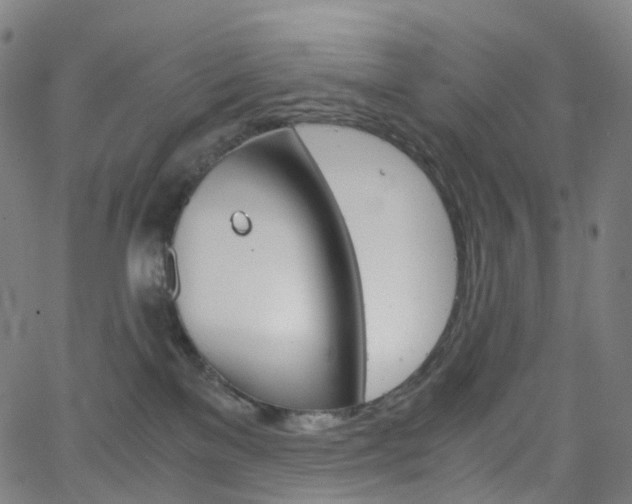 X0000063500137200601201036