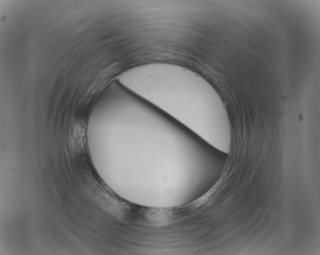 X0000063500142200601201035