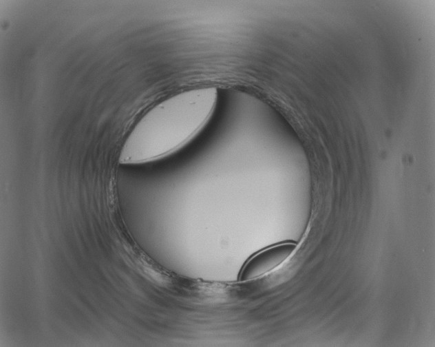 X0000063500144200601201035