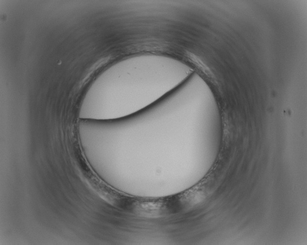 X0000063500163200601201035