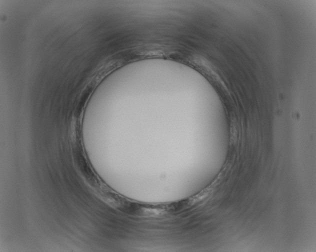X0000063500167200601201035
