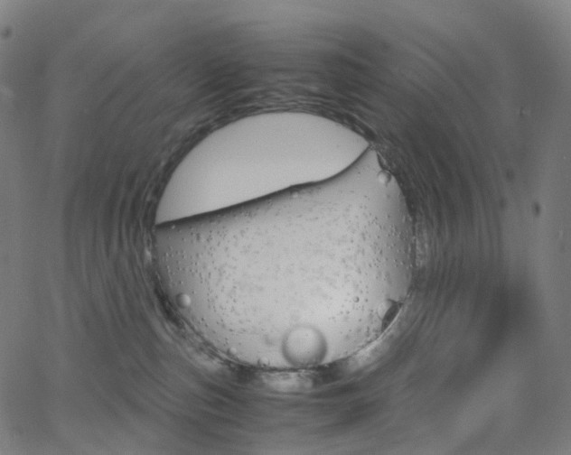 X0000063500187200601201035
