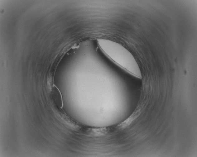 X0000063500188200601201035