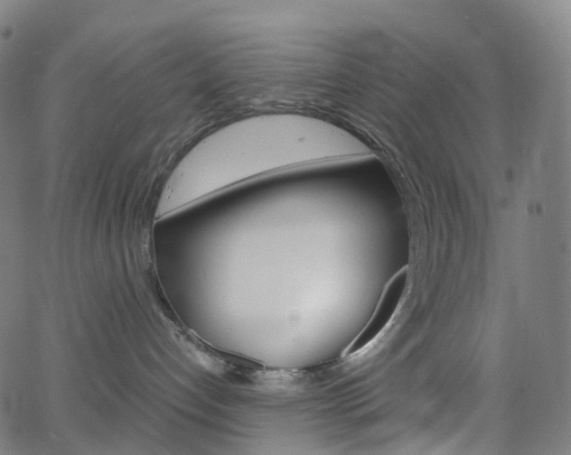 X0000063500192200601201035