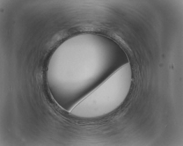 X0000063500207200601201034