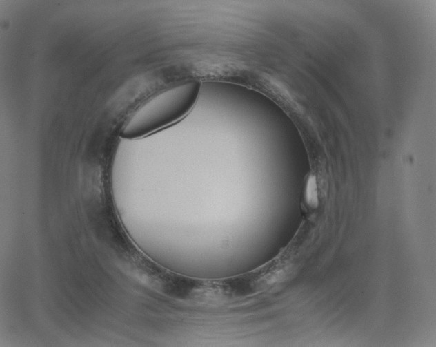 X0000063500211200601201034