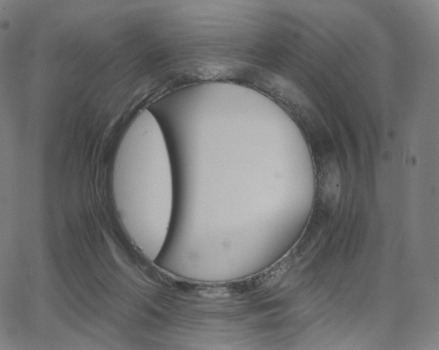 X0000063500214200601201034