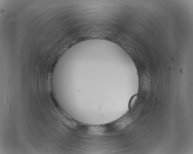 X0000063500234200601201034