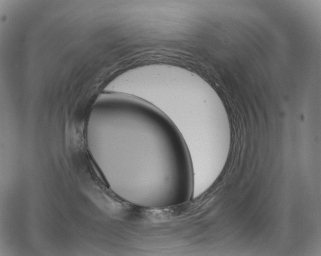 X0000063500239200601201034