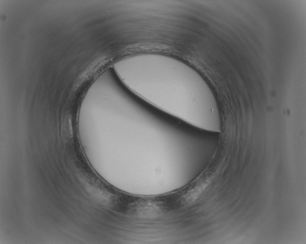 X0000063500254200601201033