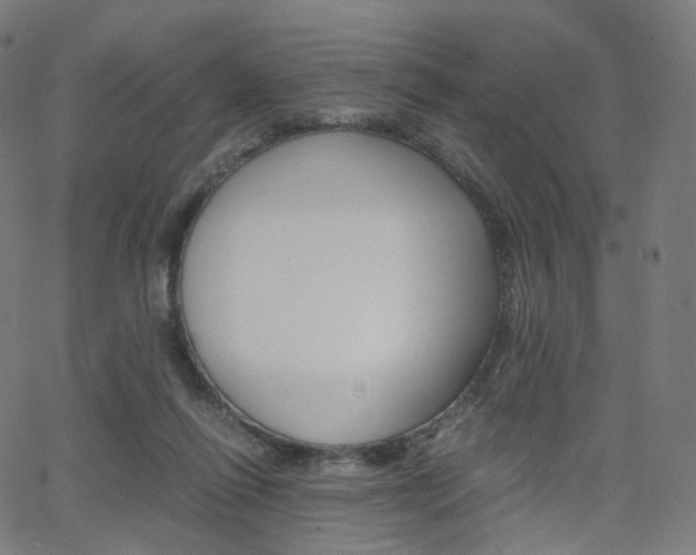 X0000063500262200601201033
