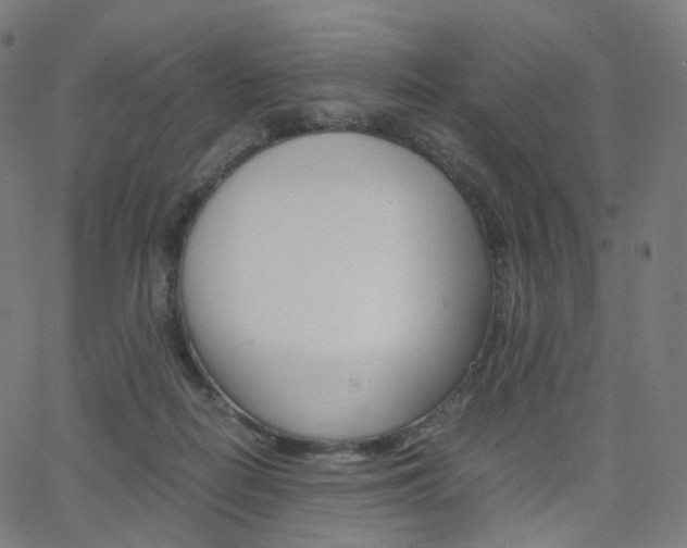 X0000063500266200601201033
