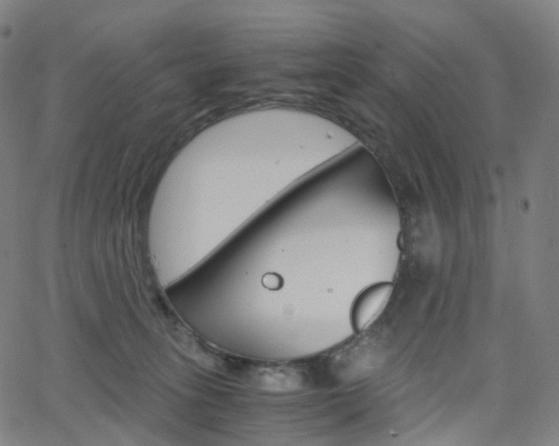 X0000063500275200601201034