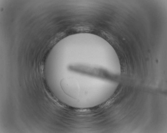 X0000063500281200601201034