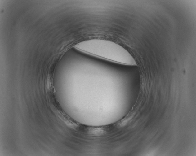 X0000063500287200601201034