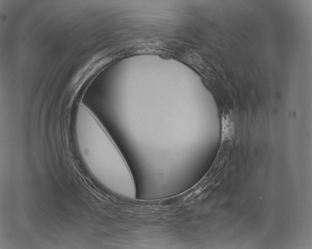 X0000063500291200601201033