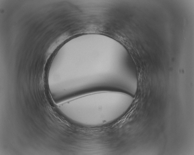 X0000063500292200601201033
