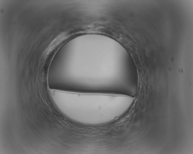X0000063500295200601201033