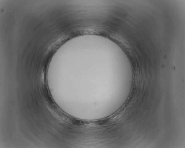 X0000063500310200601201033