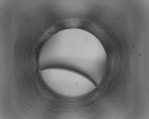 X0000063500312200601201033