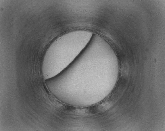 X0000063500314200601201033